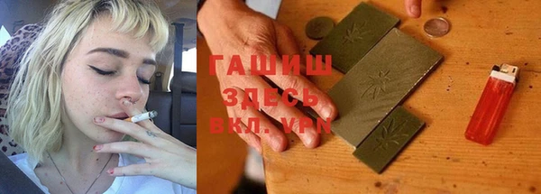 хмурый Магас