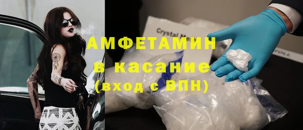 хмурый Магас