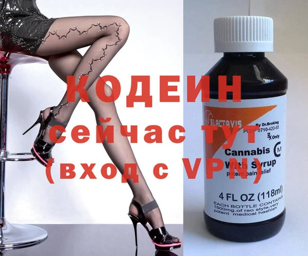 хмурый Магас