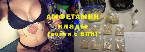хмурый Магас