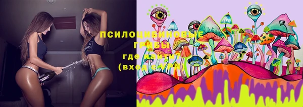 хмурый Магас