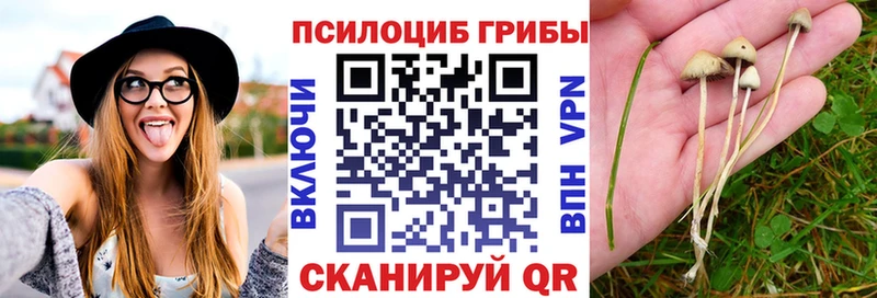 Псилоцибиновые грибы ЛСД  купить наркотики цена  mega онион  Щучье 